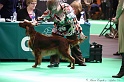 Crufts2011 511